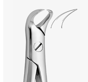 TOOTH FORCEPS N.87 - 2500/87