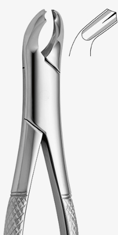 TOOTH FORCEPS AMERICAN N. 17 - 2650/17