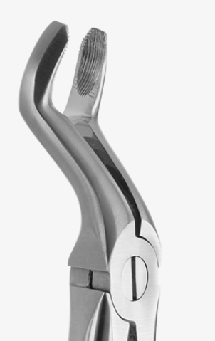 TOOTH FORCEPS BLADE BEAKS N.67 - 2400/67