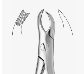 TOOTH FORCEPS N.90 - 2500/90