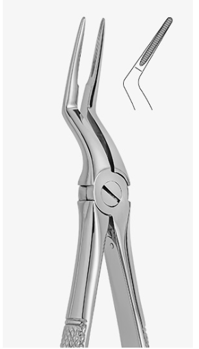 TOOTH FORCEPS N. 97 - 2500/97