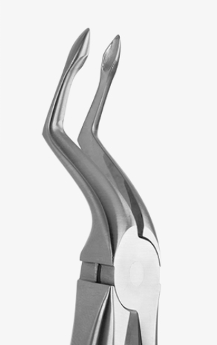 TOOTH FORCEPS BLADE BEAKS N.51-AL - 2400/51-AL