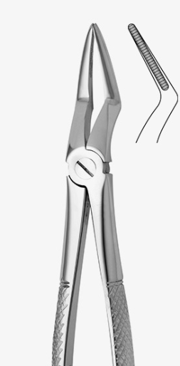 TOOTH FORCEPS N.51-L - 2500/51-L