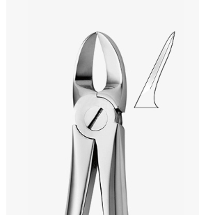 TOOTH FORCEPS N.55 - 2500/55