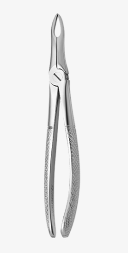 TOOTH FORCEPS N.49 - 2500/49