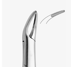 TOOTH FORCEPS WITZEL - 2500/223