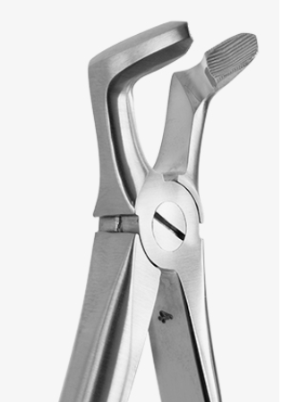 TOOTH FORCEPS BLADE BEAKS N.79 - 2400/79