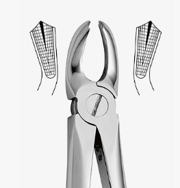 TOOTH FORCEPS N.18-A - 2500/18-A