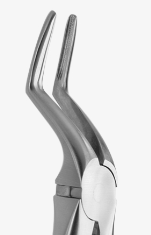 TOOTH FORCEPS BLADE BEAKS N.51 - 2400/51