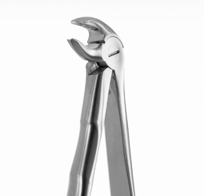 TOOTH FORCEPS BLADE BEAKS N.1 - 2400/1