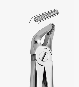 TOOTH FORCEPS N.8 - 2500/8