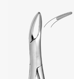 TOOTH FORCEPS WITZEL - 2500/221