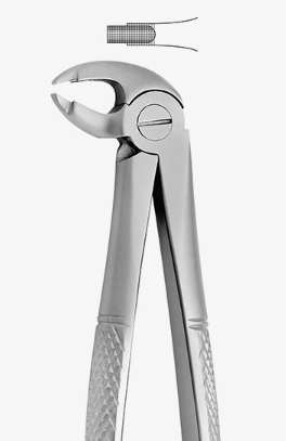 TOOTH FORCEPS N.182 - 2500/182