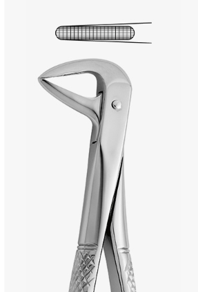 TOOTH FORCEPS N.143 - 2500/143