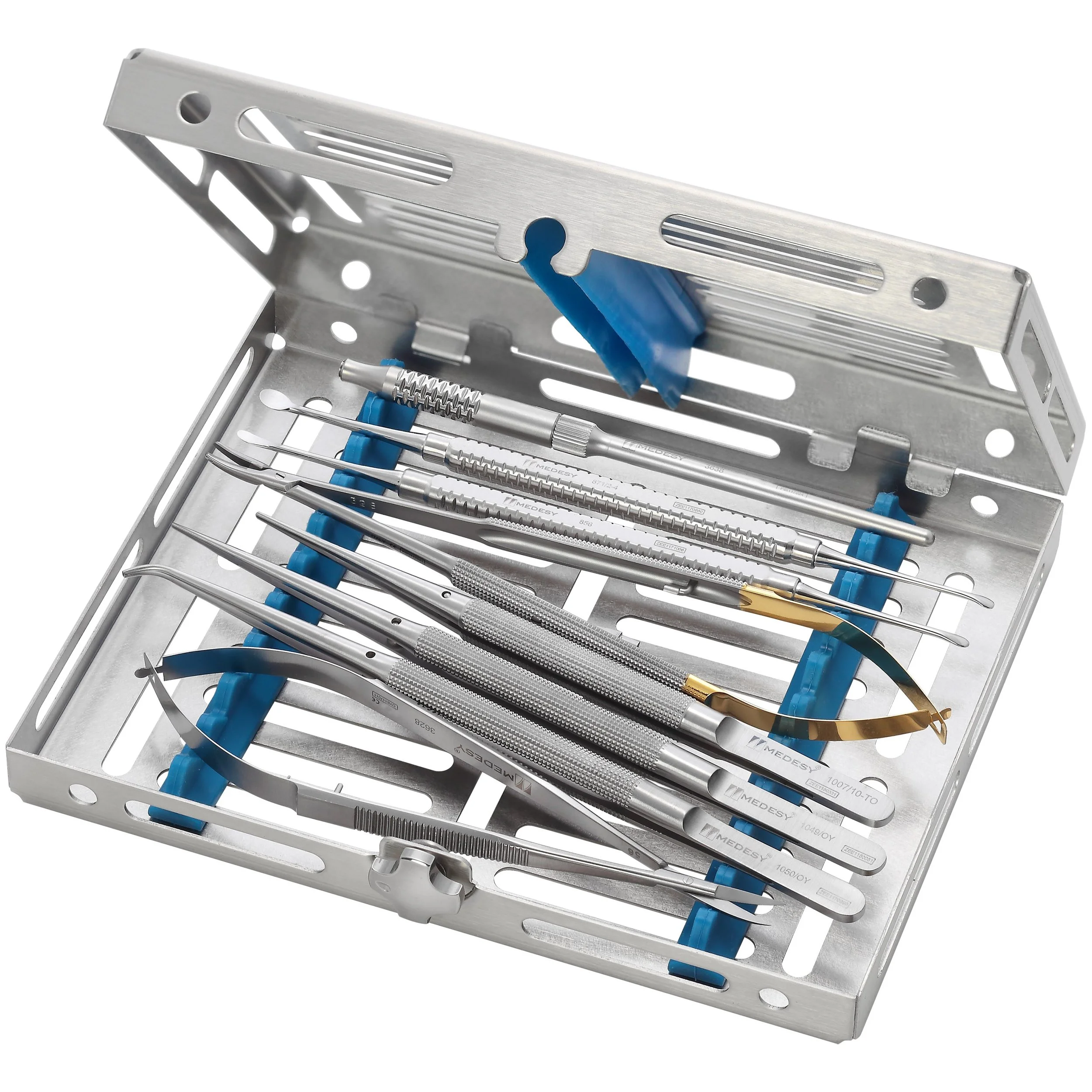 A set of dental tools inside a metal tray with blue supports.