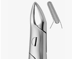 TOOTH FORCEPS N.76-N - 2500/76-N