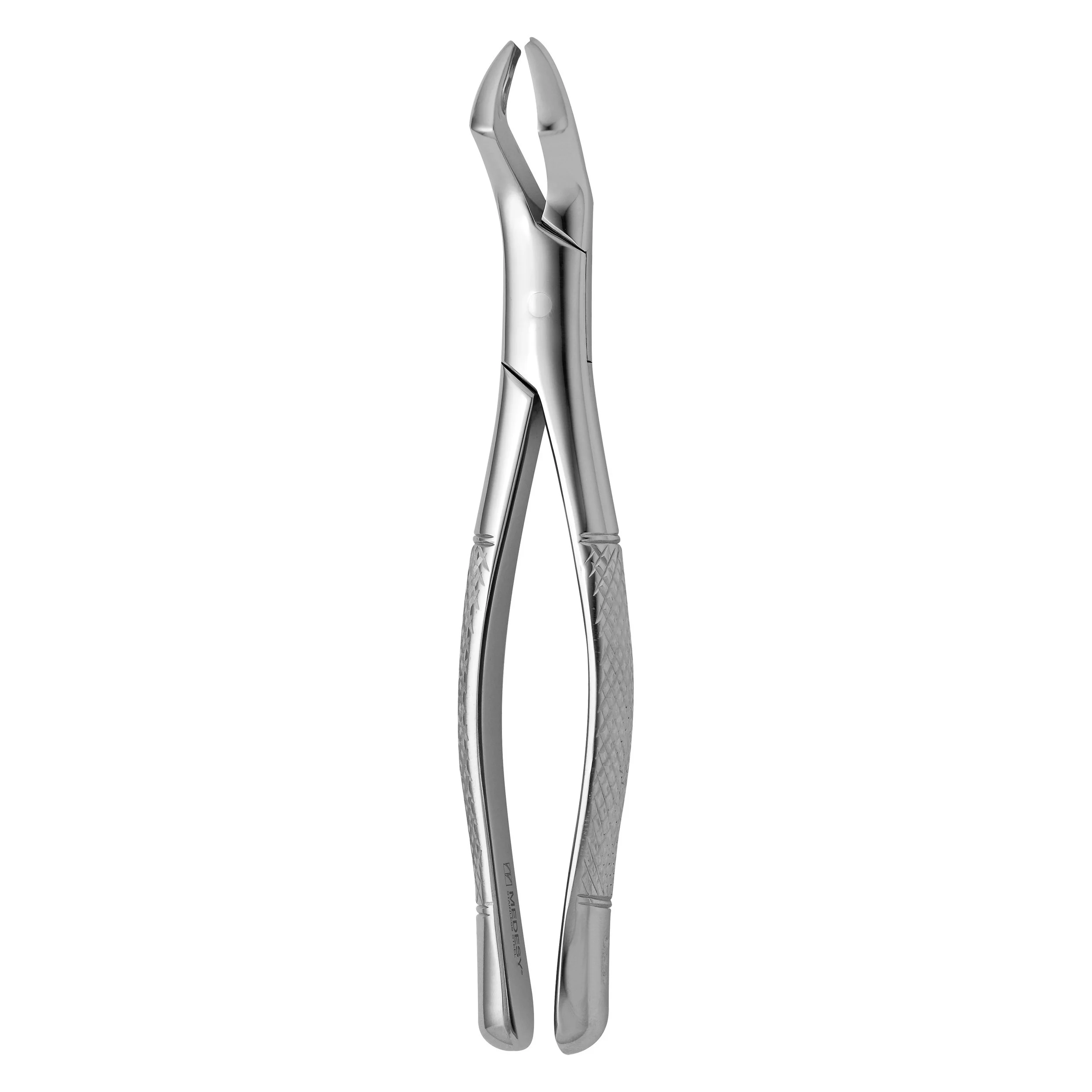 TOOTH FORCEPS AMERICAN N. 53-R - 2650/53-R