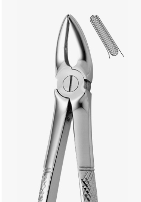 TOOTH FORCEPS N.30 - 2500/30