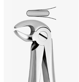 TOOTH FORCEPS PEDO N.13-S - 2500/13-S