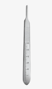 3629.png