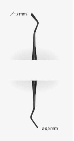 490slashNE.HL8_2.png