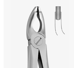 TOOTH FORCEPS N.181 - 2500/181