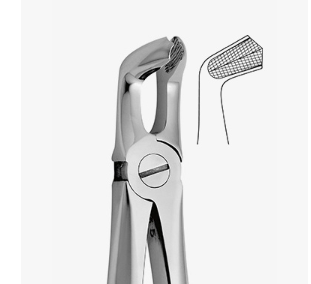 TOOTH FORCEPS N.79 - 2500/79