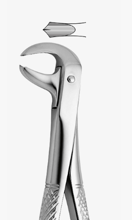 TOOTH FORCEPS PEDO N.160 - 2500/160