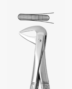 TOOTH FORCEPS N.74-N - 2500/74-N