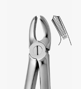 TOOTH FORCEPS PEDO N.39-A - 2500/39-A