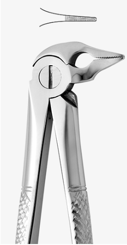 TOOTH FORCEPS N.185 - 2500/185