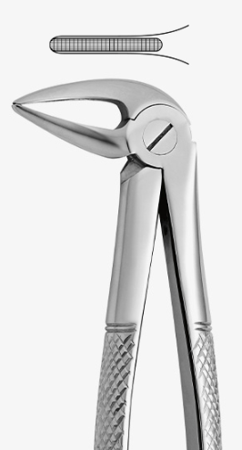 TOOTH FORCEPS N.33-L - 2500/33-L