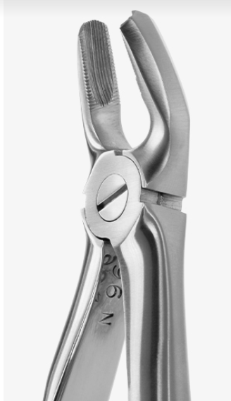 TOOTH FORCEPS BLADE BEAKS N.18 - 2400/18
