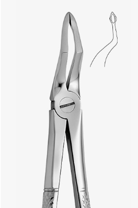 TOOTH FORCEPS N.189 - 2500/189