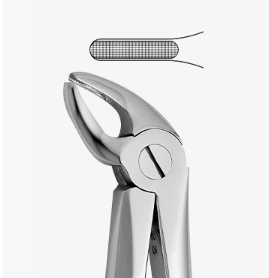 TOOTH FORCEPS N.4 - 2500/4