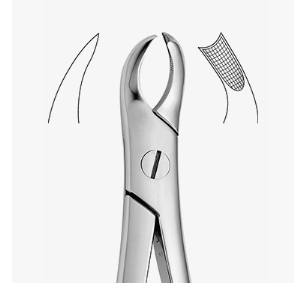 TOOTH FORCEPS N.89 - 2500/89
