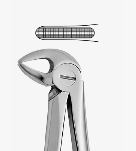 TOOTH FORCEPS N. 33-A - 2500/33-A