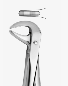 TOOTH FORCEPS N.75-A - 2500/75-A