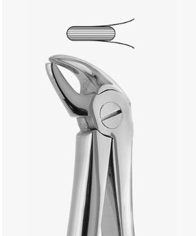 TOOTH FORCEPS PEDO N.38 - 2500/38
