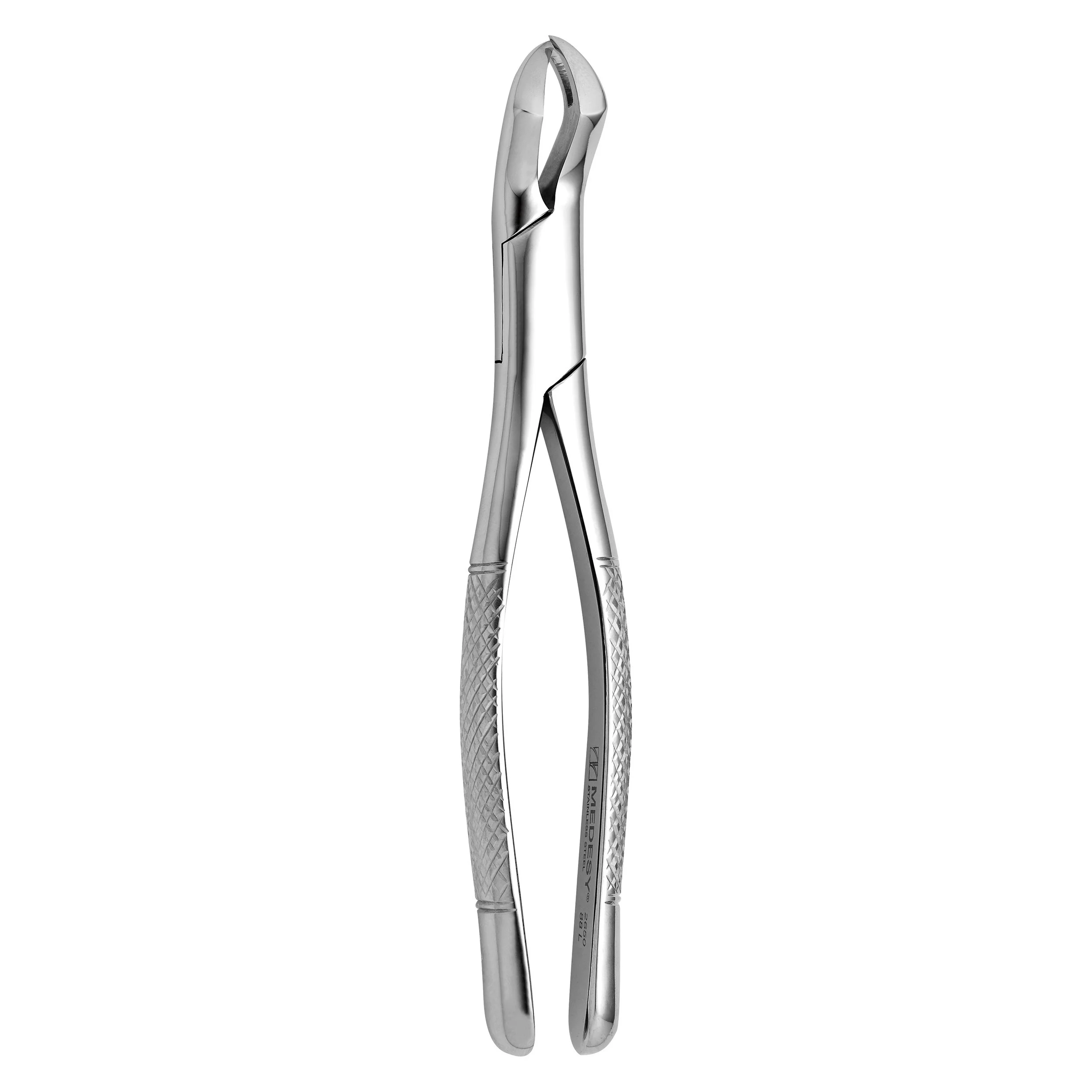 TOOTH FORCEPS AMERICAN N. 88-L - 2650/88-L