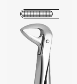 TOOTH FORCEPS N.74 - 2500/74