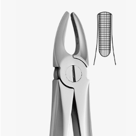 TOOTH FORCEPS PEDO N.37 - 2500/37