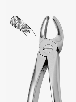 TOOTH FORCEPS N.19 - 2500/19