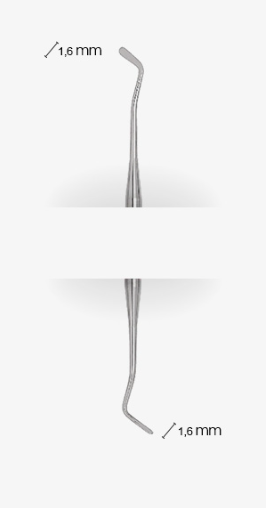 509slash11.SL -2.png