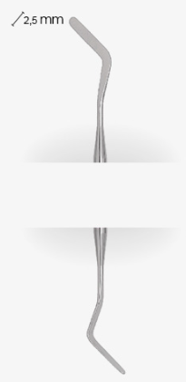 579slash2.SL-2.png