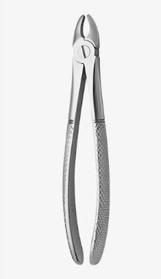 TOOTH FORCEPS N.107 - 2500/107