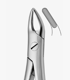 TOOTH FORCEPS N.76 - 2500/76