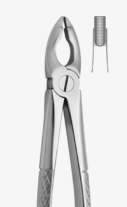 TOOTH FORCEPS N.180 - 2500/180