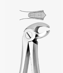 TOOTH FORCEPS N.22 - 2500/22