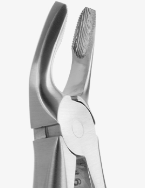 TOOTH FORCEPS BLADE BEAKS N.7 - 2400/7